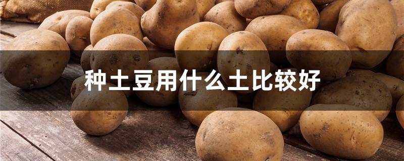 种土豆用什么土比较好