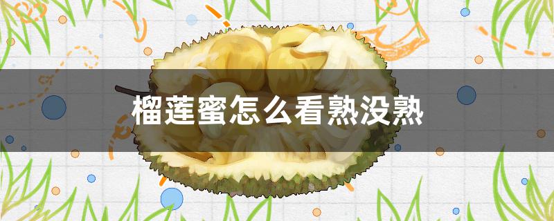 榴莲蜜怎么看熟没熟