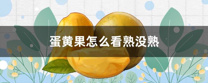 蛋黄果怎么看熟没熟