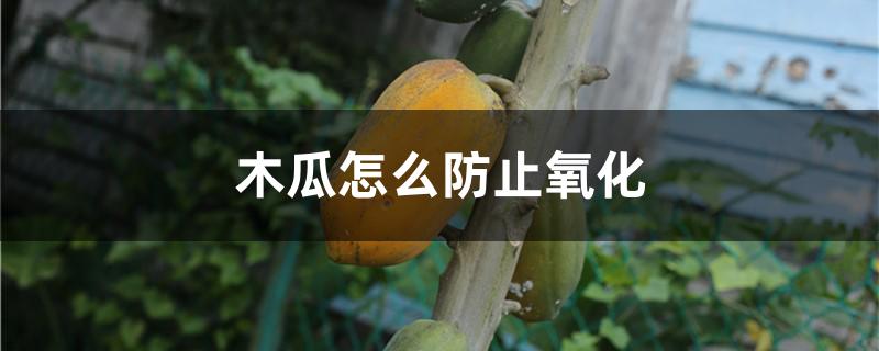 木瓜怎么防止氧化
