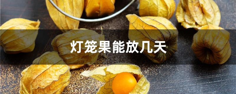 灯笼果能放几天
