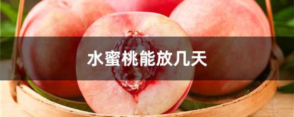 水蜜桃能放几天