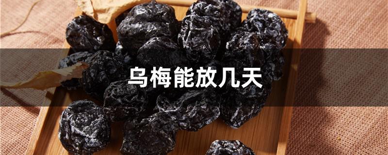 乌梅能放几天