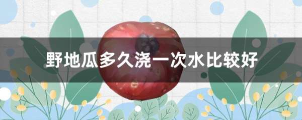 野地瓜多久浇一次水比较好