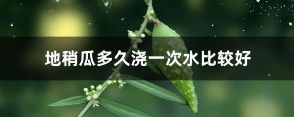 地稍瓜多久浇一次水比较好