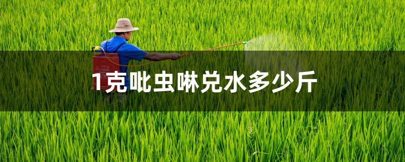 1克吡虫啉兑水多少斤