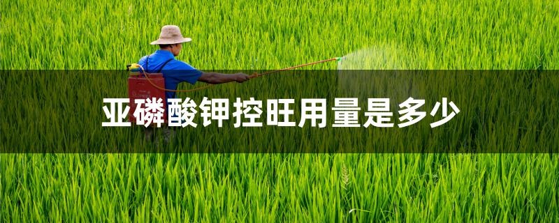 亚磷酸钾控旺用量是多少