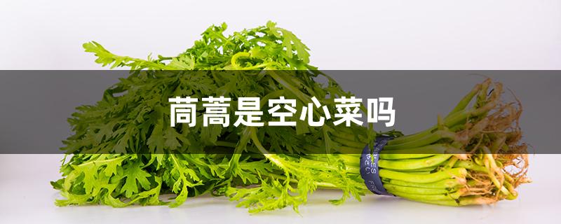 茼蒿是空心菜吗