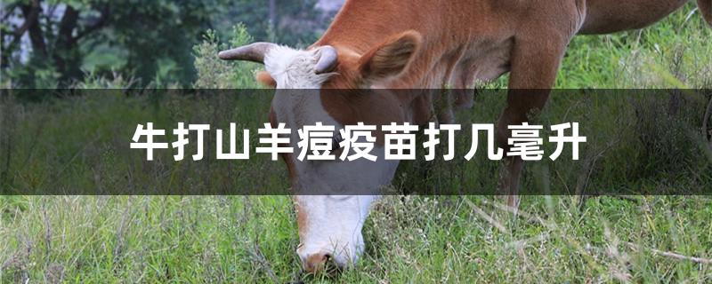 牛打山羊痘疫苗打几毫升