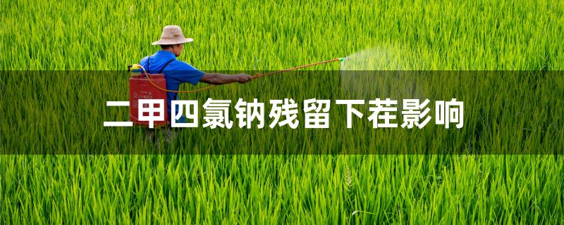 二甲四氯钠残留下茬影响