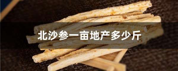 北沙参一亩地产多少斤