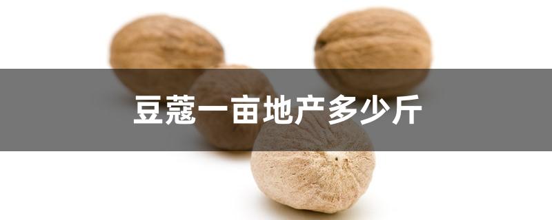 豆蔻一亩地产多少斤