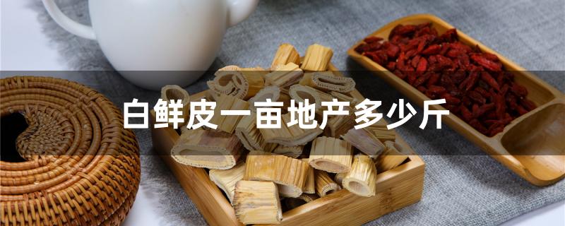 白鲜皮一亩地产多少斤