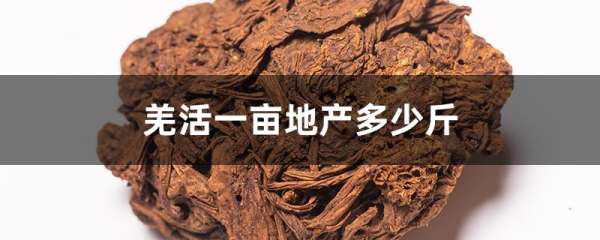 羌活一亩地产多少斤