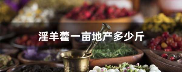 淫羊藿一亩地产多少斤