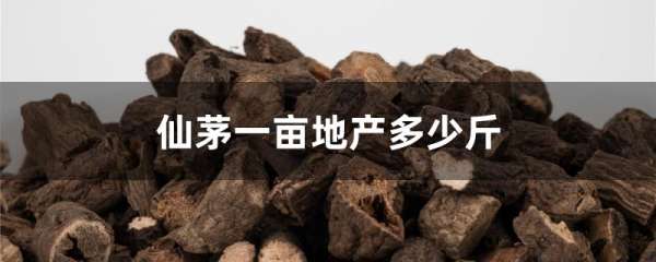 仙茅一亩地产多少斤