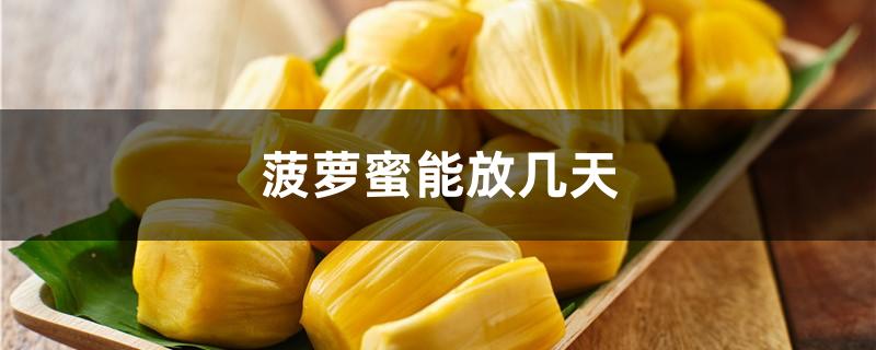 菠萝蜜能放几天