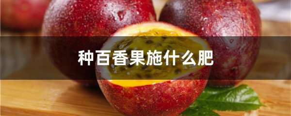 种百香果施什么肥
