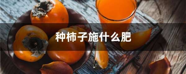 种柿子施什么肥