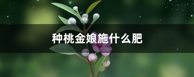 种桃金娘施什么肥