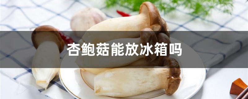 杏鲍菇能放冰箱吗
