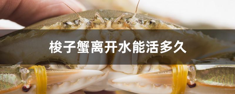 梭子蟹离开水能活多久