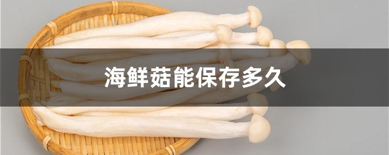 海鲜菇能保存多久