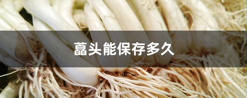 藠头能保存多久