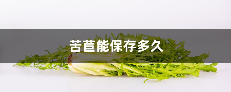 苦苣能保存多久