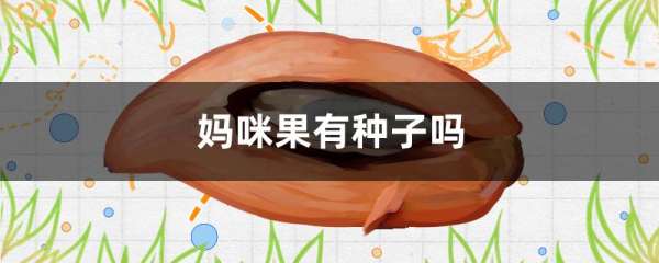 妈咪果有种子吗