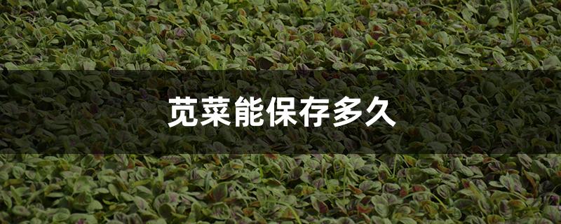 苋菜能保存多久