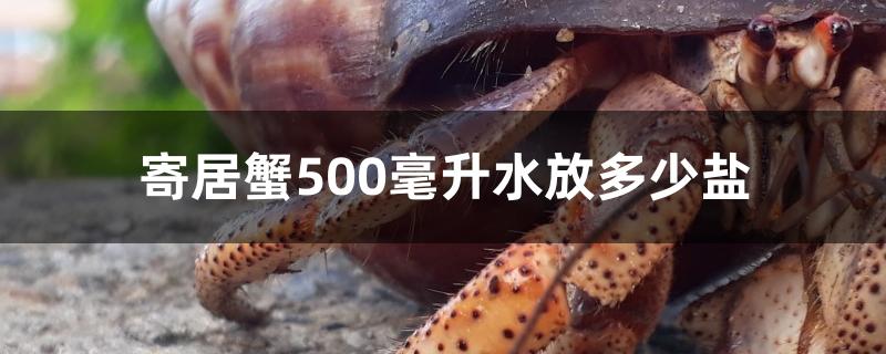 寄居蟹500毫升水放多少盐