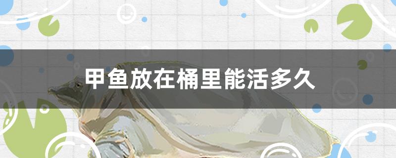 甲鱼放在桶里能活多久